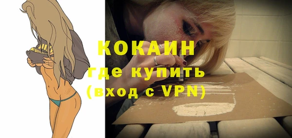 дмт Осинники