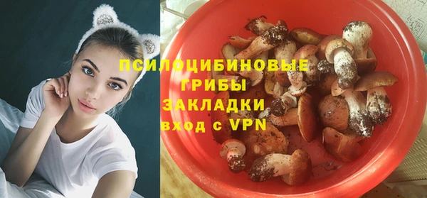 ALPHA PVP Алзамай