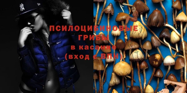 амфетамин Алексин