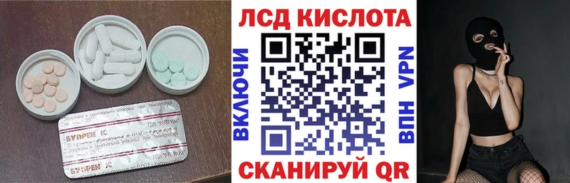 где купить   Сенгилей  Лсд 25 экстази кислота 